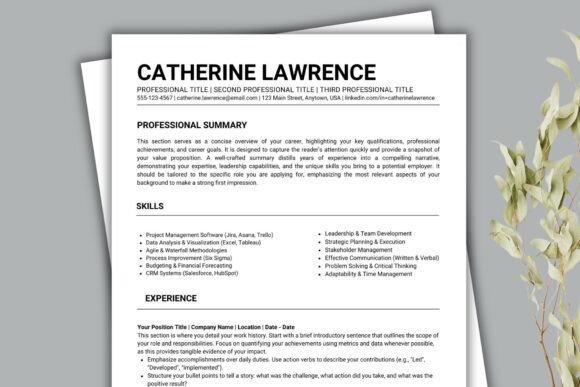 Professional Canva Resume Bundle